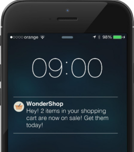 Abandoned cart Push Notifications